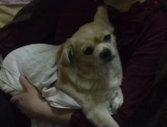 ������θ������ô�죿