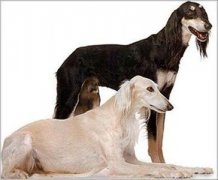 ��·����Ȯ��ô�����������ͼ��