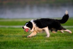 ������ι���ڼ���ô������ʳ��