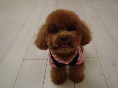 Ż�µĹ�����ʲô������θ