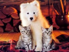 ������ô���̣���ͼ��