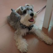 ����Ӧ����ô����Ӫ����ͼ��