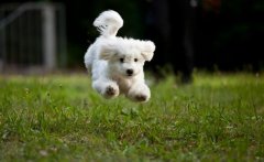 ���ܸ�к�˳�ʲô�ã�����ͼ��