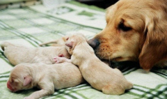 �����������ȷ�����ô����