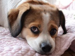 ��������������ô����