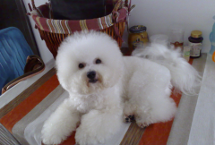 �����µĹ���������������ô�죿