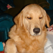 ���ƹ����鴤��ҩ