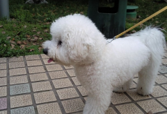 ������θ������ô��