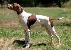 ������ȮŻ����ô���£�����ͼ��