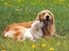 ��������ά���ص���Ҫ�ԣ���ͼ��