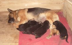 �������̺�ʱ���Զ��̣�