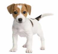 ����û���̲�����ô�죿