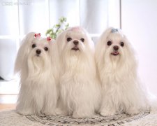 ��������Ȯ����û����ˮ��ô�죿