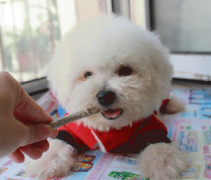 ĸ�鲻��ı��ܳ���Ȯ���̷�������