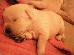 4���µĹ�����ʲô��