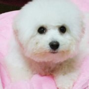 �����±����ܳ�ʲô��ͼ��