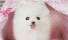 2���²�����ϡ��ô��