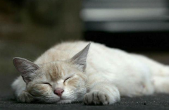 è��������������