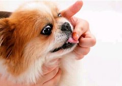 Ӫ����ʲô���Ӻã�