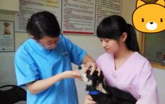 ������������ҩŻ��