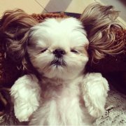 С����·һȳһ��