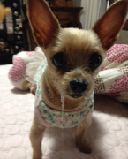 �����޺�ˮ���Է���ô��