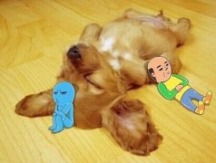 3���´�İ���˹��һ�ͳԶ���