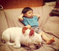 ����˹�Ӻ������