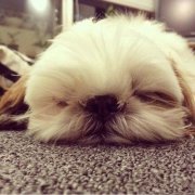 ����ǰ��һȳһ��