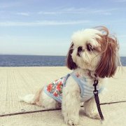 ������ʺ����ô����