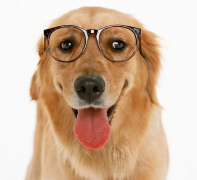 2���º���Ȯ��ʲô