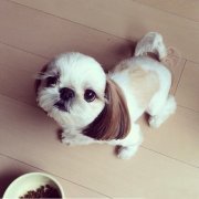 ����µĵ�����������