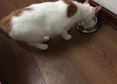 è����������ô�ԣ�