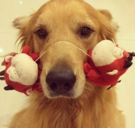 ����������ο�ѧ���ƣ�