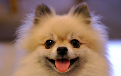 ������·���Ȳ��Զ�����ô�죿