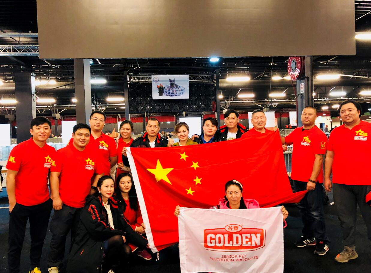 ��2017����FLFE����èչ���ȵ��й���