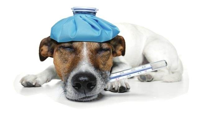 ��ʺ�ٱ�֪���������������������鲻������