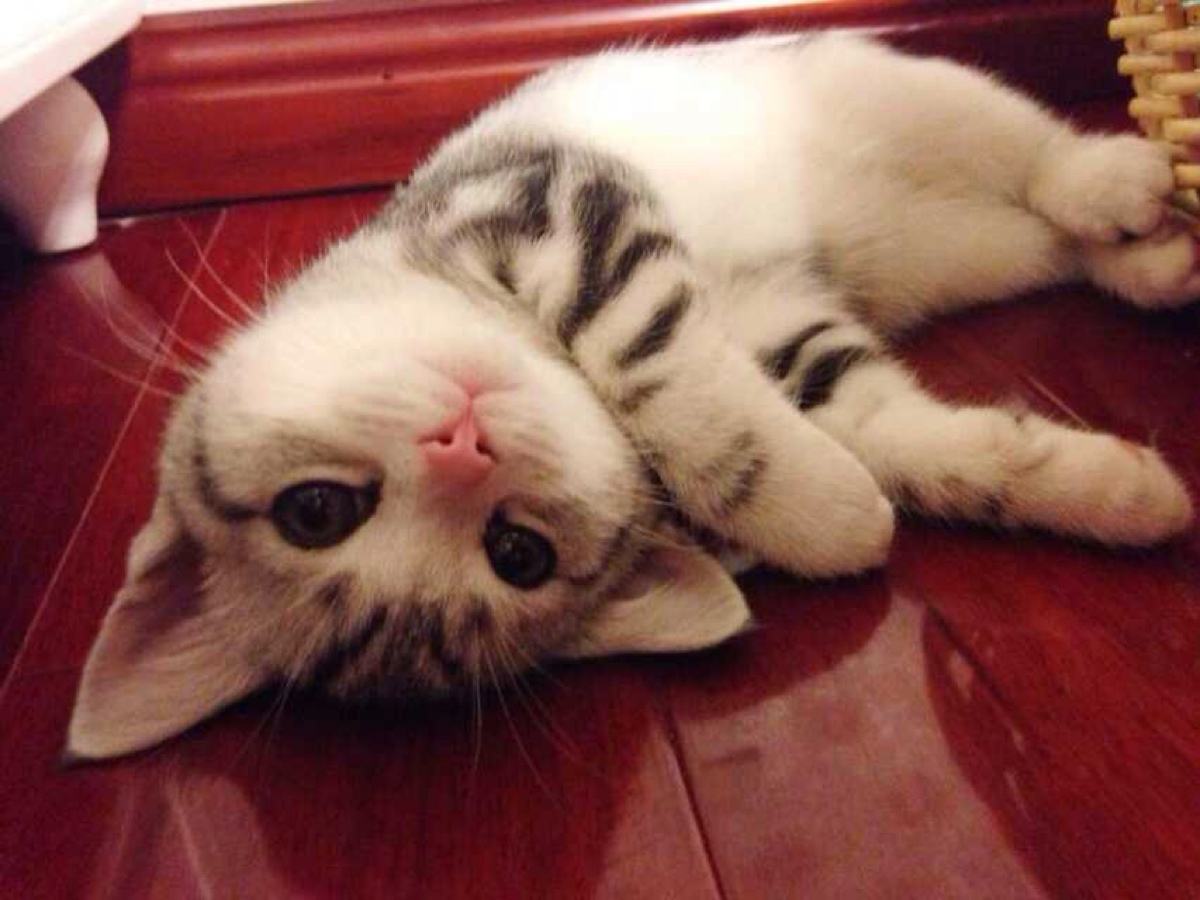 è����������Ӫ�����Ǻ����̺û���ţ�̺ã�