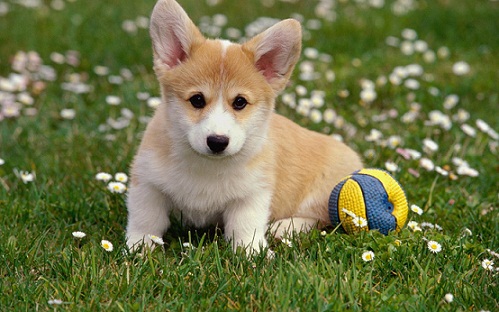 ����ȱ����ô����Ч���ã��ȵǸ߸�Ƭ3����