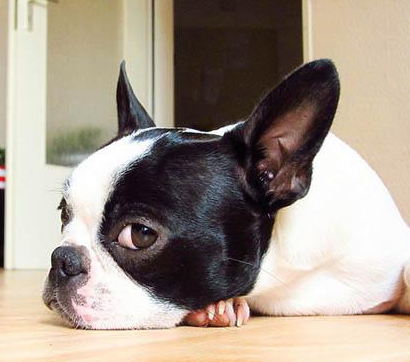 ���������ȷ���棿��������Ҫע��ʲô��