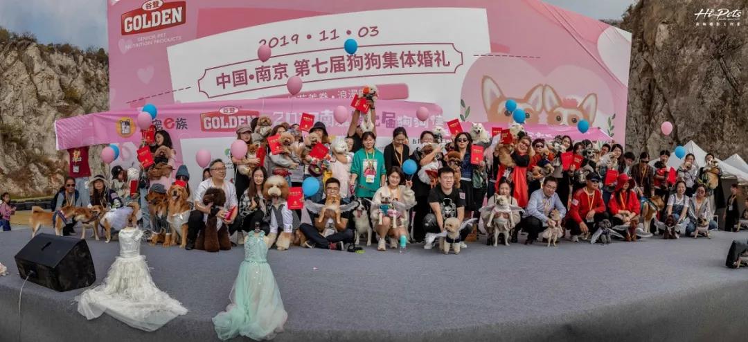 2019�ȵ�Ʒ�Ƶ��߽���Ｏ����������Ͼ�