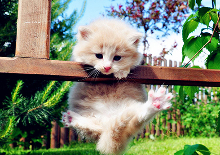 �ȵǳ����ָ�Ʒ�� ��������õĳɳ�