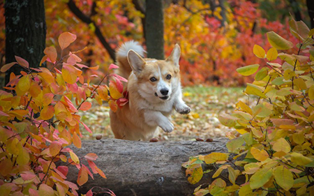 �ȵ����ϳ���ר�ҹ�ͬ���졪���Ͼ���Բ����