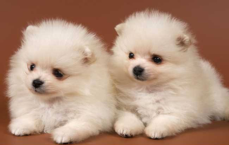 �������̷����а���ǿ�ȵǡ�����ʵ��������