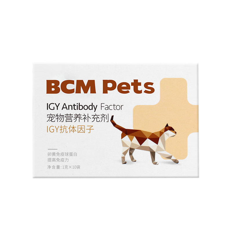 IGY�������ӣ�è�ã�